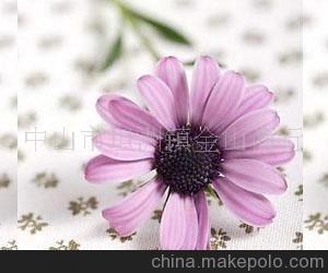 專業(yè)供應(yīng)玻璃紙(重點推薦,歡迎來電咨詢)