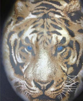 印花材料廠,認準宏奧印花材料廠家