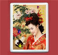 吉林長(zhǎng)春激光瓷像 熱轉(zhuǎn)印