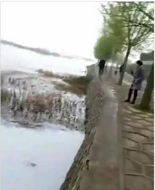 仙鶴特種漿紙有限公司發生化學品泄漏,紙業新聞,紙引未來