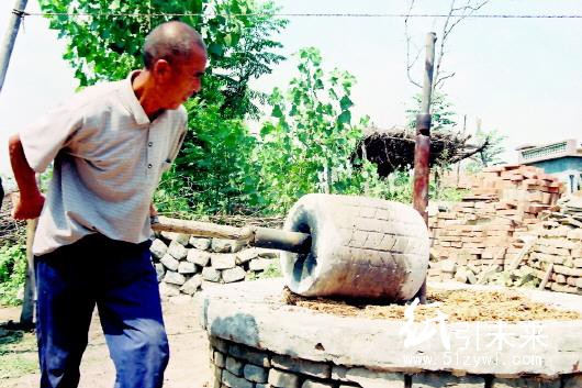 手工造紙工藝之&mdash;&mdash;碾壓桑麻備料