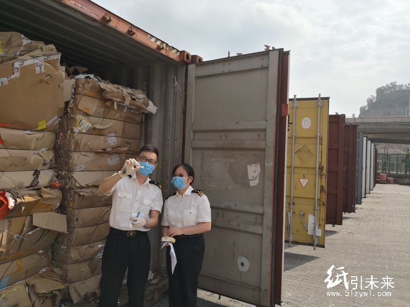 進口廢紙中藏紅火蟻？深圳海關把這批活體生物截獲了